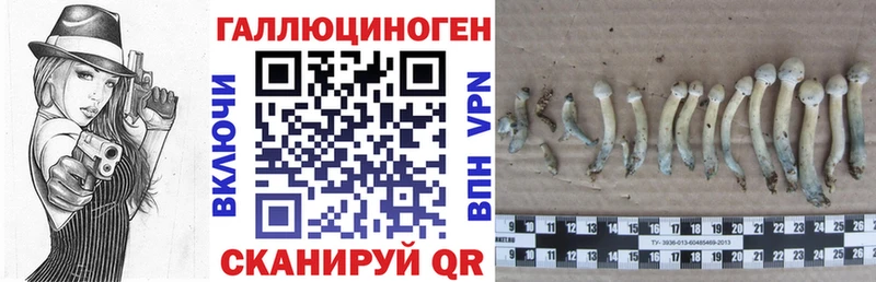 Купить закладки  Горнозаводск  Псилоцибиновые грибы ЛСД 